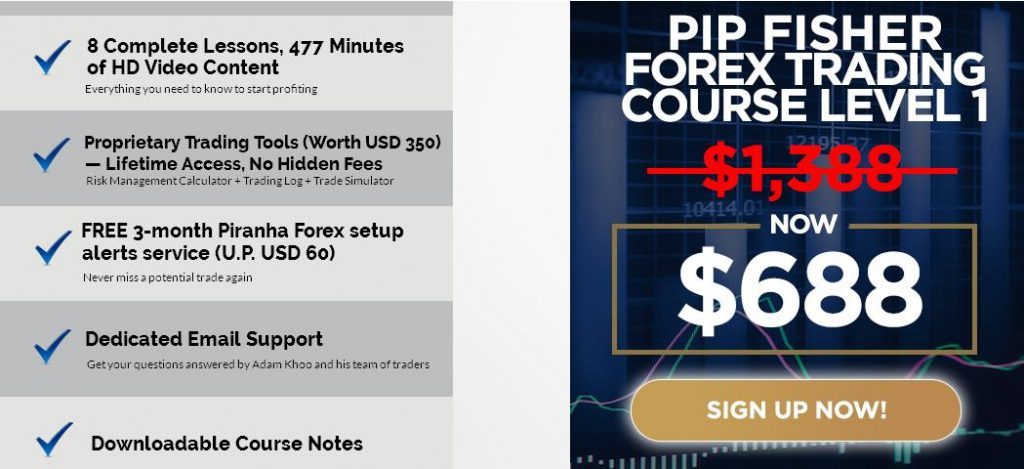 Forex course download