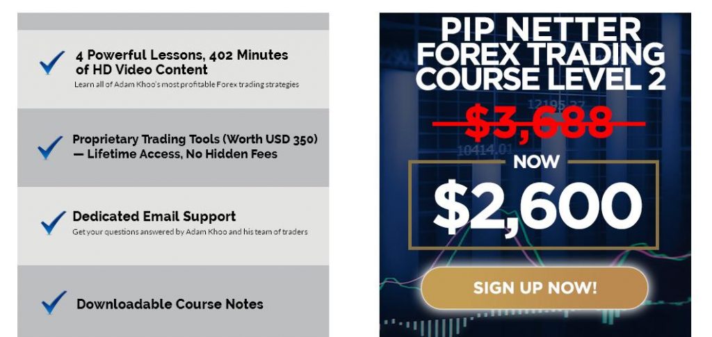 Download-Forex-Trading-Course-Level-2-Pip-Netter-Piranha-Profits