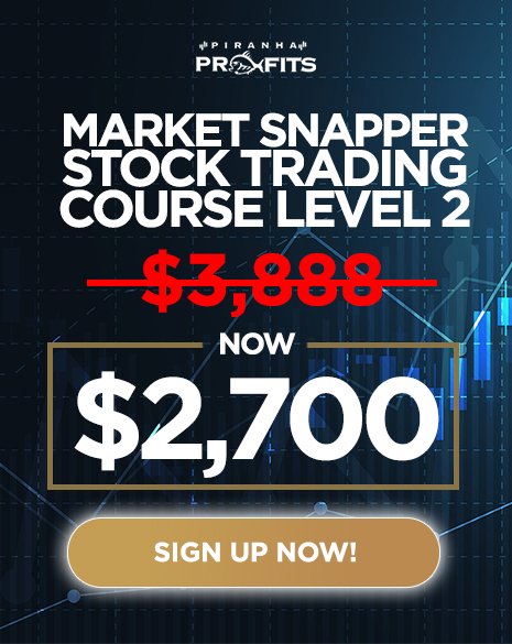 Piranha Profits – Stock Trading Course Level 2: Market Snapper