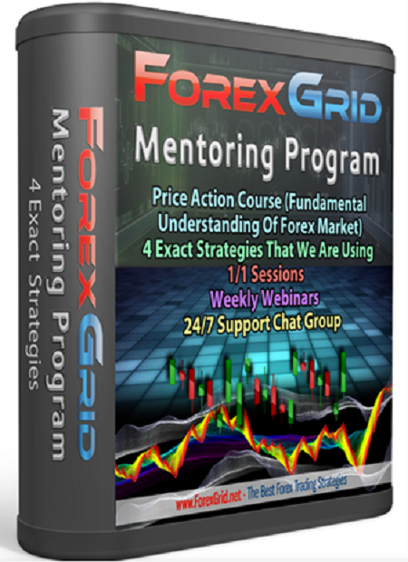 Avdo – Forex Grid Mentoring Program 