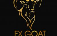 [DOWNLOAD] THE FX GOAT FOREX TRADING ACADEMY