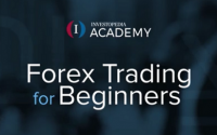 [DOWNLOAD] Investopedia Academy Forex Trading Course For Beginners